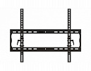 Наклонное настенное крепление Wize Pro T55