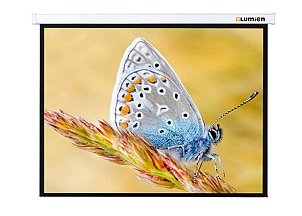 Экран с электроприводом Lumien Master Control LMC-100105 (1:1) 244x244 (236х236, MW)