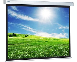 Проекционный экран Projecta ProScreen 240х240 см