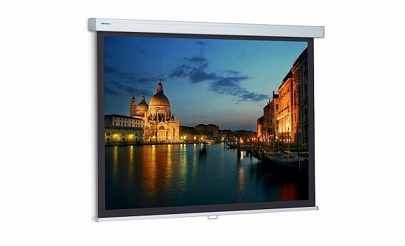 Проекционный экран Projecta ProScreen 160х160 см